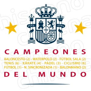 Camieta campeones España (detalle)