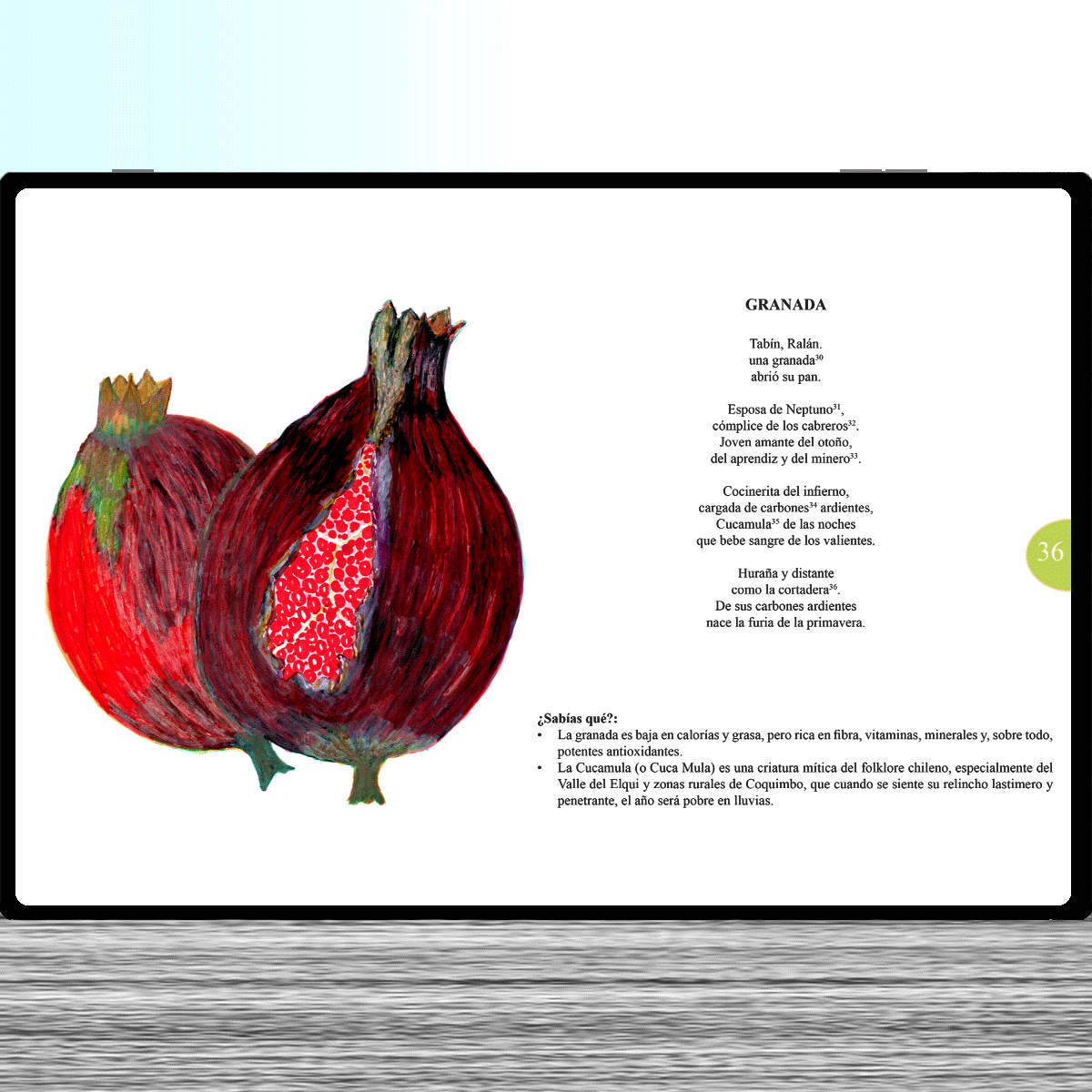 saborear-huerta-interior-pdf